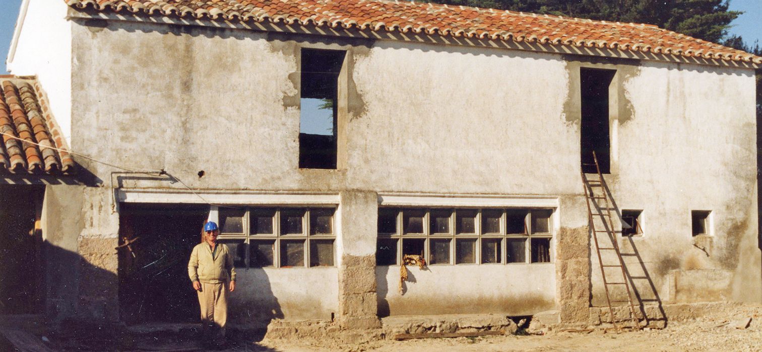 Full width image